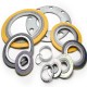 Gaskets & Seals