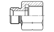 BSP Thread Adapters Connectors Fittings