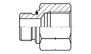 BSP Thread Adapters Connectors Fittings