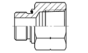 BSP Thread Adapters Connectors Fittings