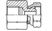 BSP Thread Adapters Connectors Fittings